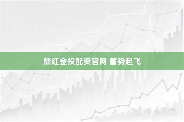 鼎红金投配资官网 蓄势起飞