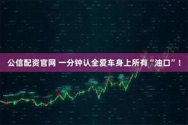 公信配资官网 一分钟认全爱车身上所有“油口”！