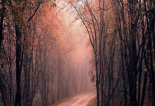 五倍杠杆:手机炒股股票-比特币巨震！大量投资者爆仓 特朗普再次呼吁降息